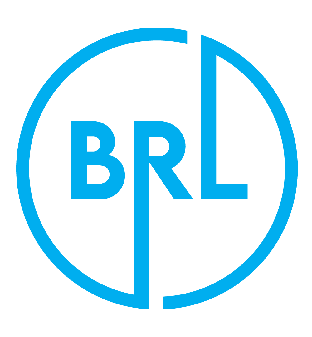 BRL NDT SERVICES
